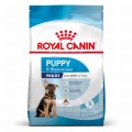 RC-SPT-DRY-MaxiPuppy-MV-2-pl_PL.jpg